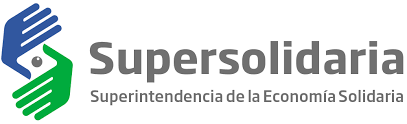 Descripción de la imagen